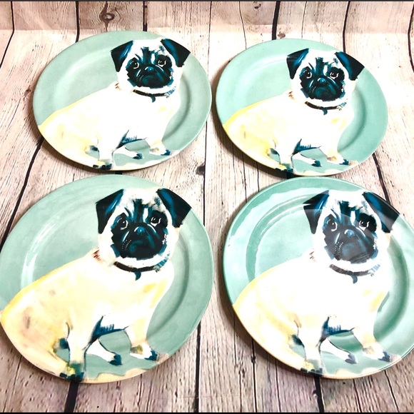 dog pirate eye patch